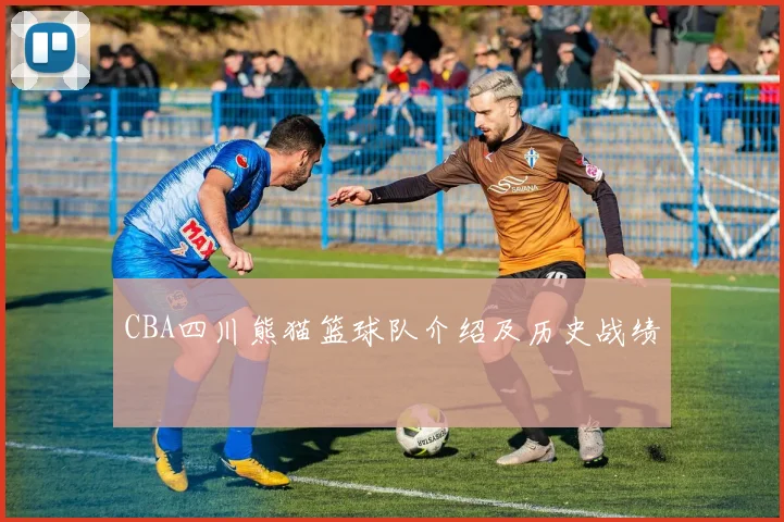 CBA四川熊猫篮球队介绍及历史战绩