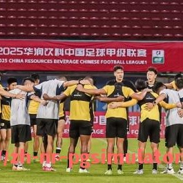 PG电子在线试玩入口-2014年鲁能队中超赛程及赛季表现回顾